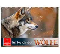 In the realm of the wolves UK-Version (Wall Calendar 2026 DIN A3 Landscape), CALVENDO 12 Month Wall Calendar