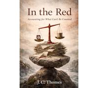 In The Red: Accounting for What Can't Be Counted