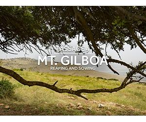 In the Shadow of Gilboa: Reaping & Sowing