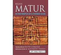 In the Temple of a Patient God (Visible Poets)