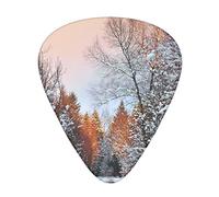 In The Winter Light Printed Guitar Picks 12 Pack Picks Sampler With Storage Box For Guitar Bass Ukulele 0.46mm