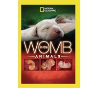 In The Womb: Animals