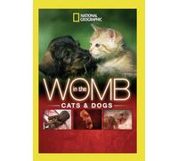 In The Womb: Cats & Dogs