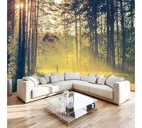 in The Woods Along The Path Photo Wallpaper 138"x101" Forest 3D Effect Panoramic Wall Murals Non-Woven Wall Paper for Bedroom Living Room TV Backdrop,Easy to Install W-437