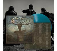 In the Woods... - Diversum [VINYL]