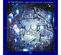 In the Woods - Three Times Seven on a Pilgrimage [VINYL]