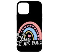 IN THIS CLASS WE ARE FAMILY Classroom Decoration Case for iPhone 12 mini