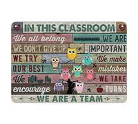 In This Classroom We All Belong, We Matter, We Don't Give Up Poster, Gift For Teacher, Owl Poster, Classroom Decoration Vintage Metal Tin Sign 6 X 8 Inch Tin Sign Plaque