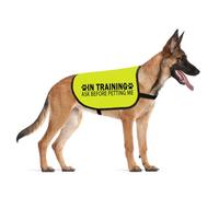 In Training Please Don't Approach/Ask Before Petting Me Dog Jacket Vest Alert Slogan Warning Vest (Before petting-Medium)