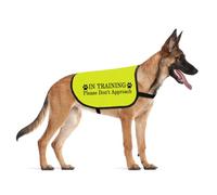 In Training Please Don't Approach/Ask Before Petting Me Dog Jacket Vest Alert Slogan Warning Vest (Don't Approach Large)