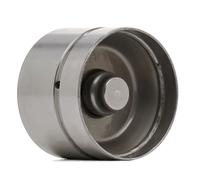 INA 420 0049 10 Tappet