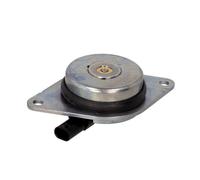 INA 427 0018 10 Central Magnet, camshaft adjustment OE REPLACEMENT