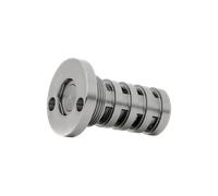 INA 427 0083 10 Central Valve, camshaft adjustment