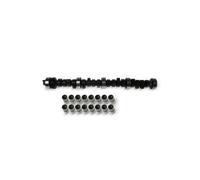 Camshaft Kit INA 428 0038 30 for AUDI A4 B6 (8E2) 2.5 2002-2004