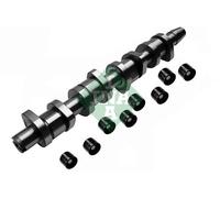 INA 428 0039 30 Camshaft Kit