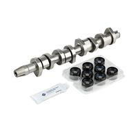 INA 428 0042 30 Camshaft Kit