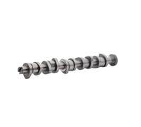INA 428 0151 10 Camshaft