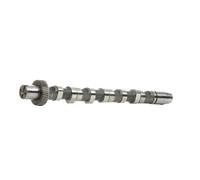 INA 428 0156 10 Camshaft