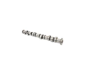 INA 428 0212 10 Camshaft