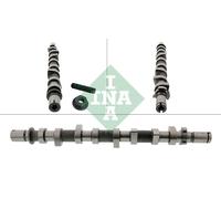 INA 428 0252 10 Camshaft Fits Dacia Mercedes Nissan Renault A-Class B-Class Cla