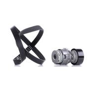 INA 529 0009 10 V-Ribbed Belt Set