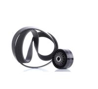 INA 529 0016 10 V-Ribbed Belt Set