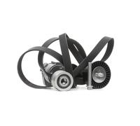 INA 529 0043 20 V-Ribbed Belt Set