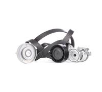 INA 529 0090 10 V-Ribbed Belt Set
