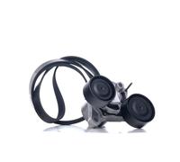 INA 529 0206 10 V-Ribbed Belt Set