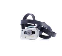Multi-ribbed V-belt kit 529 0216 10 INA for CITROËN PEUGEOT