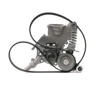 INA 529 0297 30 Water Pump + V-Ribbed Belt Kit