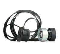 INA 529 0314 10 V-Ribbed Belt Set