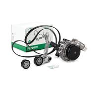 INA 529 0319 30 Water Pump + V-Ribbed Belt Kit