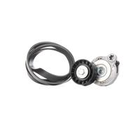 INA 529 0375 10 V-Ribbed Belt Set