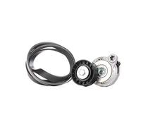 INA V-Ribbed Belt Set - VOLVO V60 I S60 II S80 II V70 III XC70 II - 30757514
