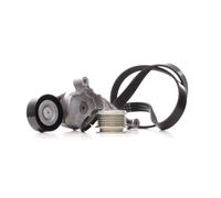 INA 529 0469 20 V-Ribbed Belt Set