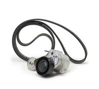 INA 529 0480 20 V-Ribbed Belt Set