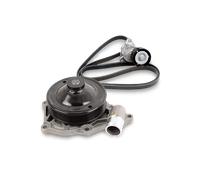 INA 529 0487 30 Water Pump + V-Ribbed Belt Kit