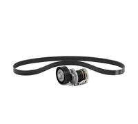 Multi-ribbed V-belt kit 529 0490 10 INA for VOLVO FORD