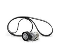 Multi-ribbed V-belt kit with freewheel belt pulley 529 0521 20 INA for AUDI SEAT