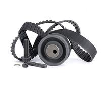 INA 530 0002 10 Timing belt kit