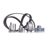 INA 530 0082 10 Timing belt kit