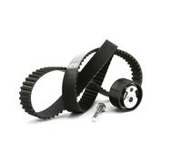 INA 530 0144 10 Timing belt kit