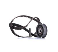 Timing belt kit 530 0149 10 INA for VW SEAT AUDI