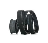 INA 530 0154 10 Timing belt kit