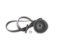 INA 530 0162 10 Timing belt kit