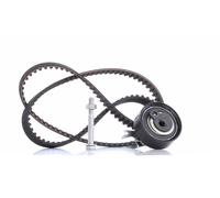 INA 530 0166 10 Timing belt kit