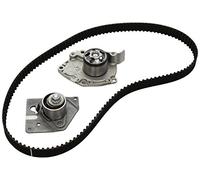 INA 530 0196 30 Water pump and timing belt kit
