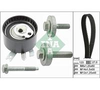 INA 530 0197 10 Timing Belt Kit, Black