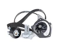 INA Timing Belt Kit + Water Pump 530 0197 31 for Renault Nissan Dacia 1.5D